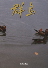 群鸟解说